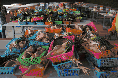 道:72个情绪价值营造标杆案例不朽情缘版旅游餐饮场景破局之(图37) 道:72个情绪价值营造标杆案例不朽情缘版旅游餐饮场景破局之(图37)