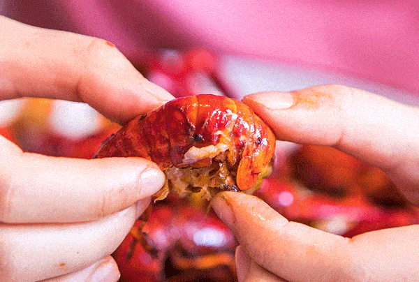 道:72个情绪价值营造标杆案例不朽情缘版旅游餐饮场景破局之(图75) 道:72个情绪价值营造标杆案例不朽情缘版旅游餐饮场景破局之(图75)