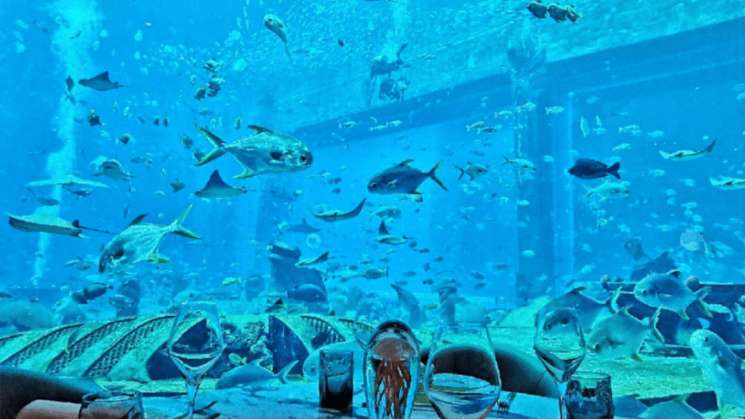 道:72个情绪价值营造标杆案例不朽情缘版旅游餐饮场景破局之(图87) 道:72个情绪价值营造标杆案例不朽情缘版旅游餐饮场景破局之(图87)